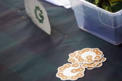 (c) Green Mountain Gravel