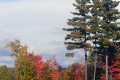 (c) Green Mountain Gravel