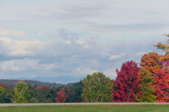 (c) Green Mountain Gravel