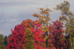 (c) Green Mountain Gravel