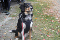 (c) Green Mountain Gravel