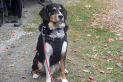 (c) Green Mountain Gravel