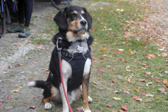 (c) Green Mountain Gravel